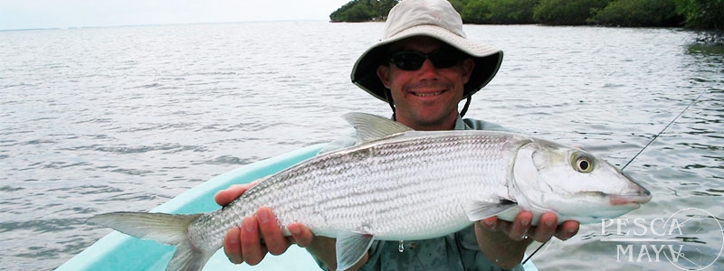 You can enjoy flats fishing and reef fishing in Ascension Bay - Pesca Maya